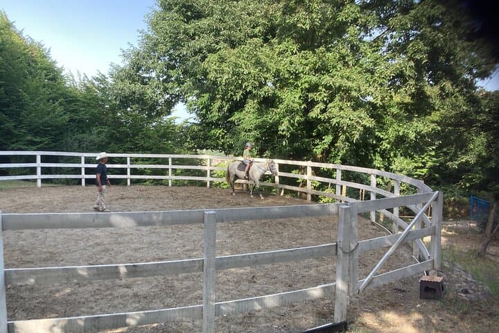 Private Cowboy Roundpen Horse Riding Experience in Lankaran Forest, Azerbaijan photo 2