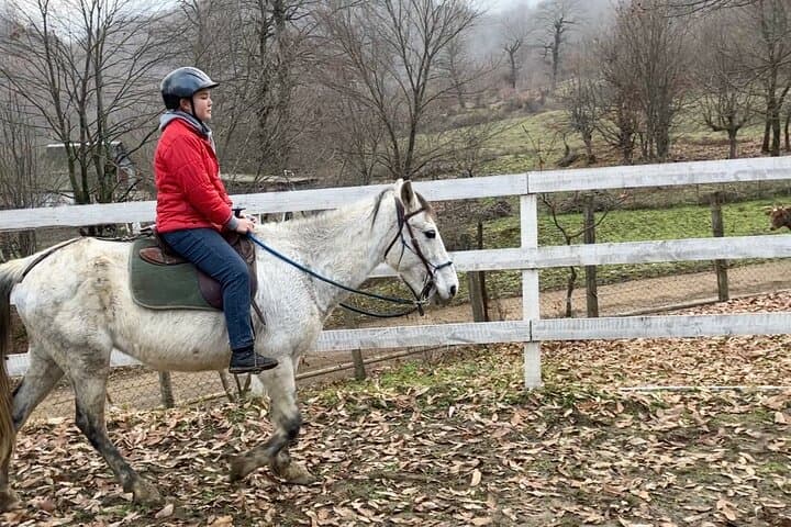 Private Cowboy Roundpen Horse Riding Experience in Lankaran Forest, Azerbaijan photo 3