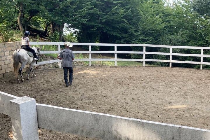 Private Cowboy Roundpen Horse Riding Experience in Lankaran Forest, Azerbaijan photo 4