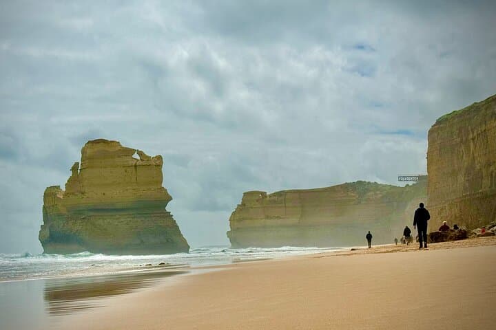 Private Premium Great Ocean Road Tour — Lunch, Koalas & 12 Apostles photo 2