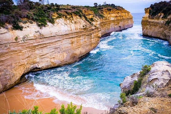 Private Premium Great Ocean Road Tour — Lunch, Koalas & 12 Apostles photo 3
