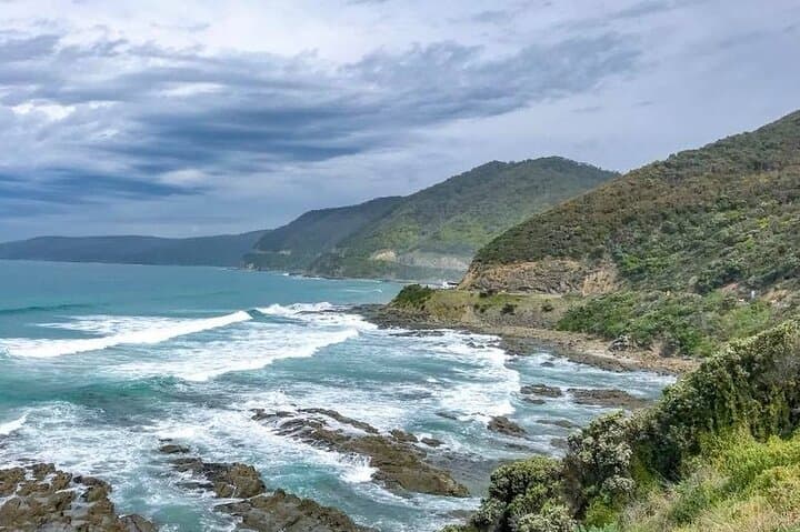 Private Premium Great Ocean Road Tour — Lunch, Koalas & 12 Apostles photo 5
