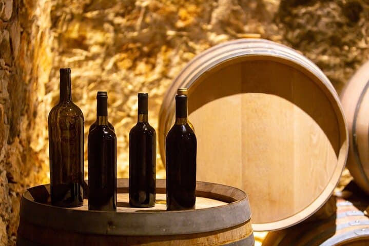 Private Viña Edén Winery Tour from Punta del Este — Tasting Uruguay’s Countryside Wines photo 5