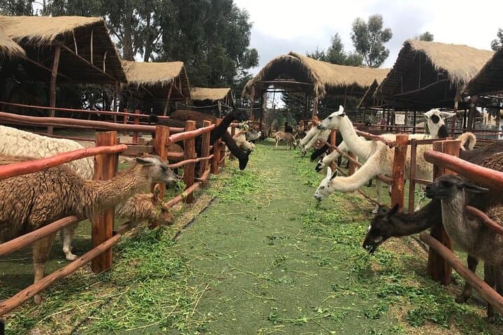 Early-Access Sacred Valley & Machu Picchu: 2-Day Guided Experience photo 3