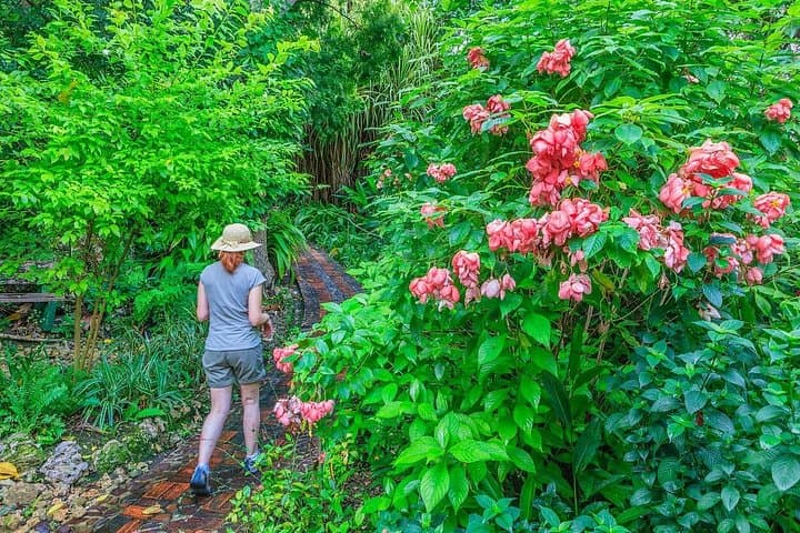 Barbados Full-Day Garden Delight: Flower Forest, Hunte's & Andromeda Private Tour photo 6