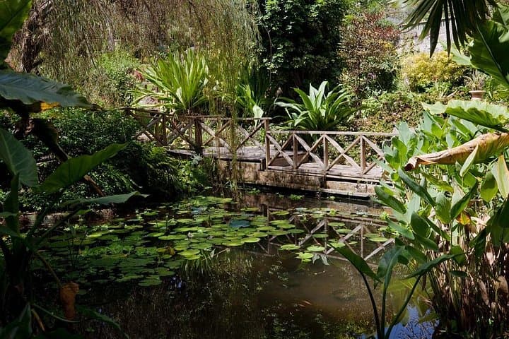Barbados Full-Day Garden Delight: Flower Forest, Hunte's & Andromeda Private Tour