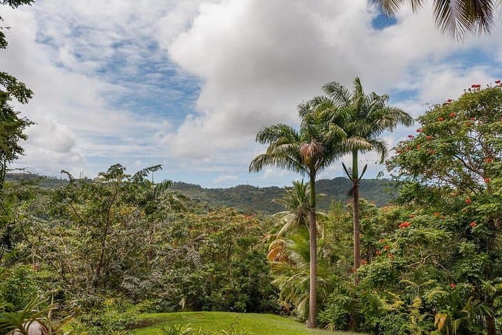 Barbados Full-Day Garden Delight: Flower Forest, Hunte's & Andromeda Private Tour photo 3