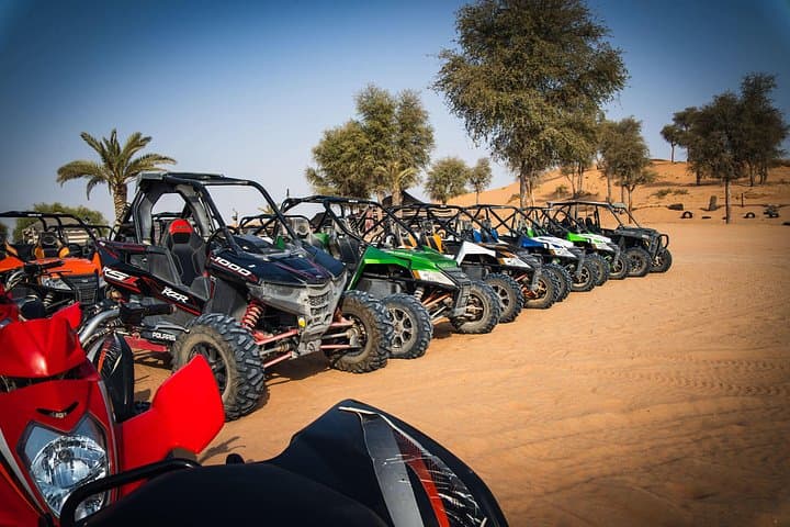 Dubai Premium 6-Hour Desert Safari: Dune Bashing, Camel Ride & Luxury Dinner photo 5