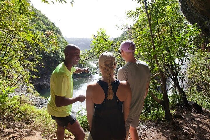 Tamarind Falls Hike — Seven Cascades Day Trek with Local Guide & Picnic