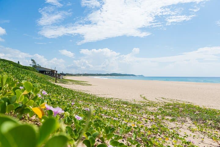 Full-Day Private Ponta D'Ouro Tour from Maputo — Beaches, Markets & Reserve Drive photo 2