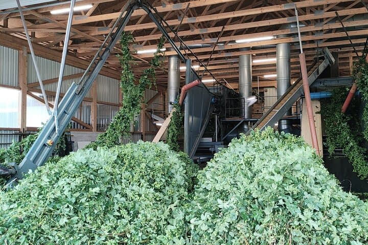 Hallertau Hop Harvest Experience: Museum, Farm Tour & Brewery Lunch photo 3
