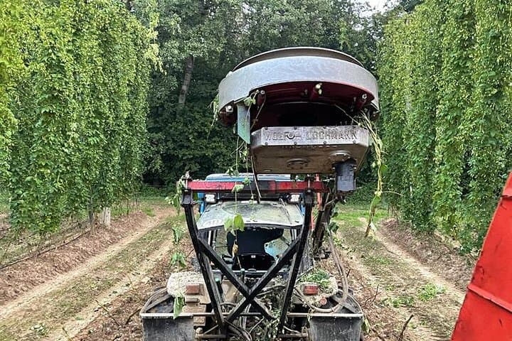 Hallertau Hop Harvest Experience: Museum, Farm Tour & Brewery Lunch photo 1