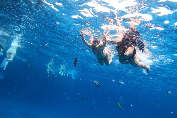 Hurghada Dolphin House Full-Day Swim and Snorkel Adventure photo 6