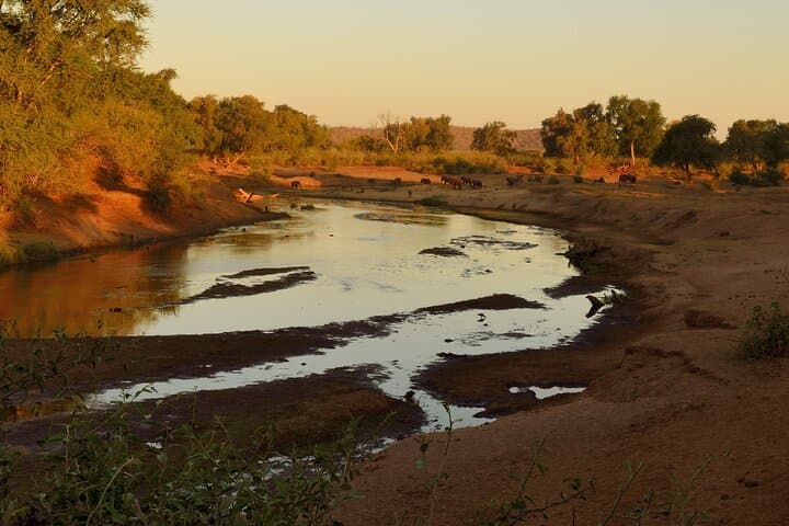 Private Full-Day Kruger Safari from Maputo — Big Five Game Drive photo 3