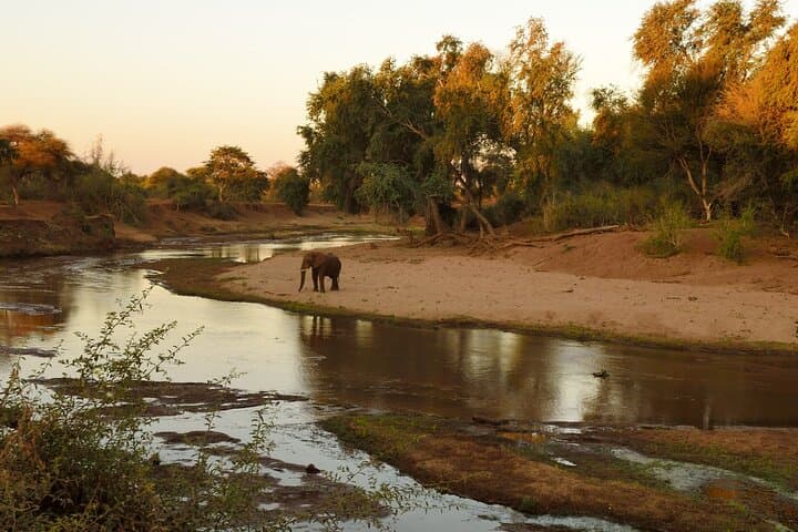 Private Full-Day Kruger Safari from Maputo — Big Five Game Drive photo 5