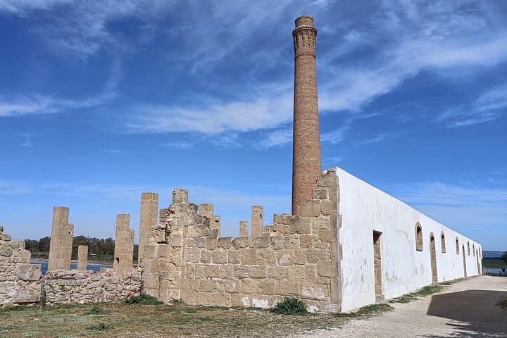 Vendicari Nature Reserve Walk from Syracuse — Birdwatching, Tonnara Ruins & Coastal Beaches photo 4