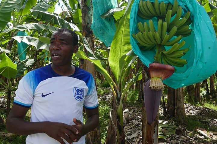 Soufriere Day Tour: Pitons, Sulphur Springs & Toraille Waterfall photo 5
