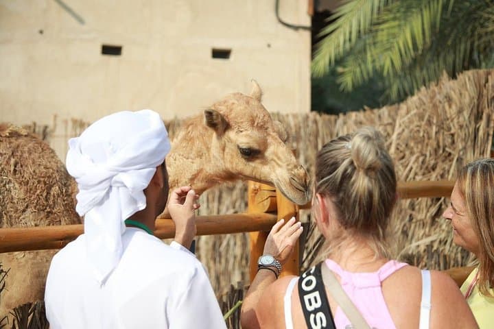 Turn a Layover into a Dubai Highlights Tour: Burj Khalifa, Souks & Creek (3–6 hrs) photo 3