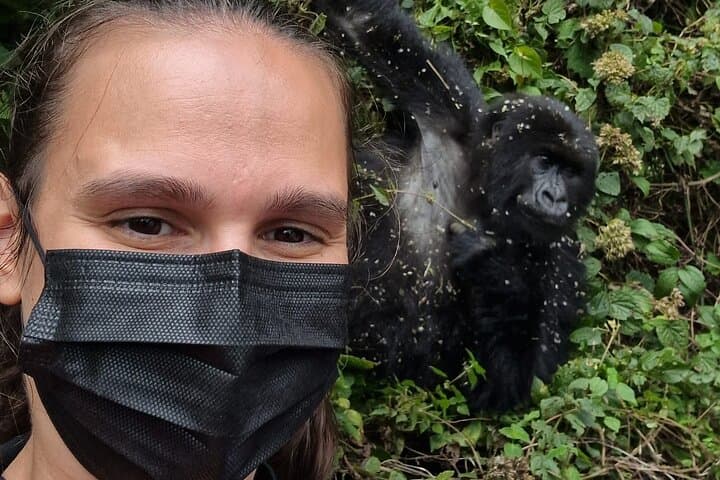 Gorilla Trekking in Rwanda: 1-Day Volcanoes National Park Safari photo 2