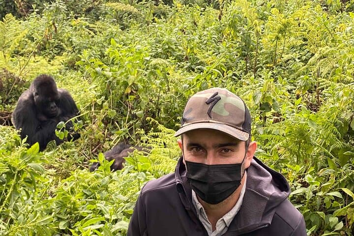Gorilla Trekking in Rwanda: 1-Day Volcanoes National Park Safari photo 3