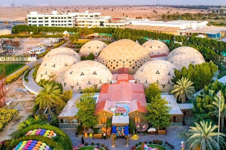 Dubai Miracle Garden & Butterfly Garden: Tickets, Tips, and What to Expect photo 5