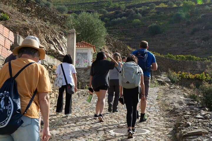 Douro Valley Vineyard Hike to Pinhão — 9 km Through UNESCO Terraces photo 5