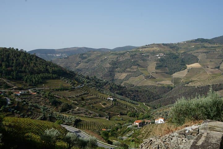 Douro Valley Vineyard Hike to Pinhão — 9 km Through UNESCO Terraces photo 3