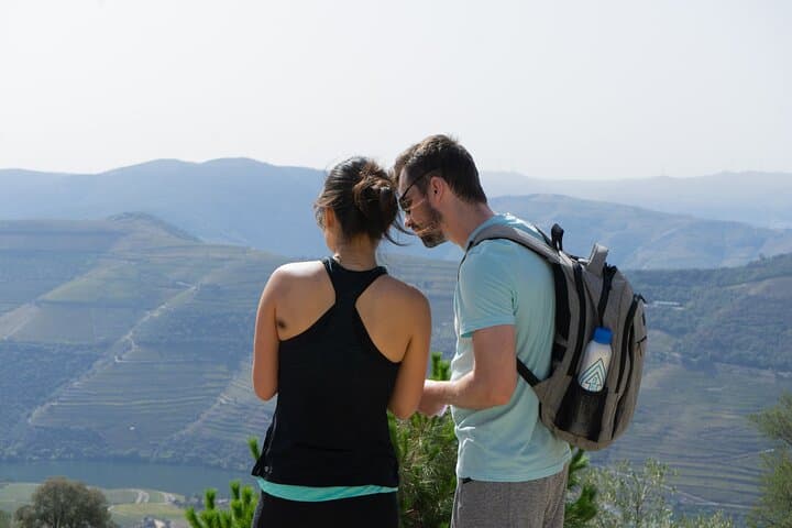 Douro Valley Vineyard Hike to Pinhão — 9 km Through UNESCO Terraces photo 6
