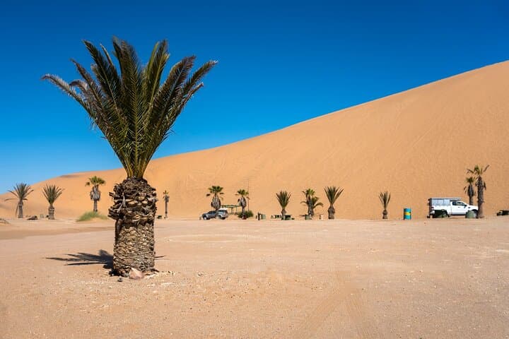 Doha Half-Day Desert Safari — Dune Bashing, Camel Ride & Sand Boarding photo 5