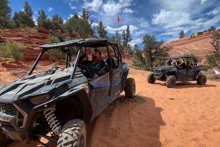 Drive East Zion's Hidden Treasures: 4-Hour UTV Tour photo 4