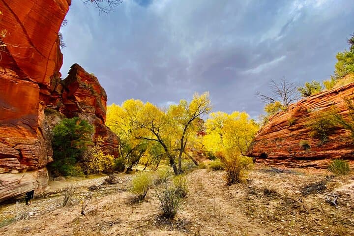 Drive East Zion's Hidden Treasures: 4-Hour UTV Tour