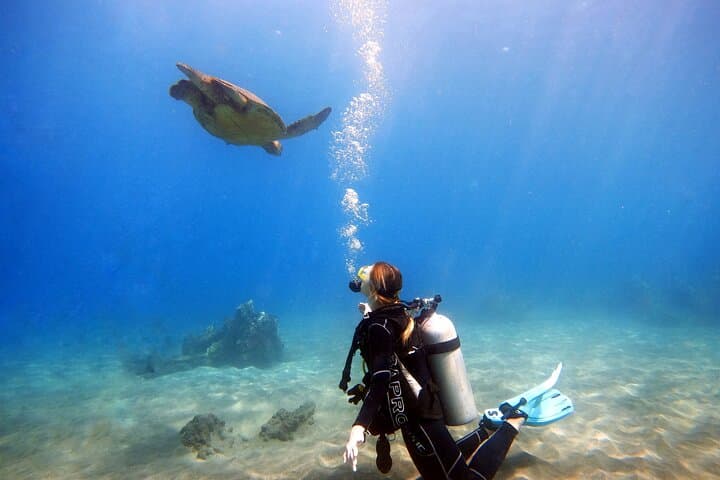 Beginner Scuba Diving in West Maui — Shore Dives with Turtles & Reef Life