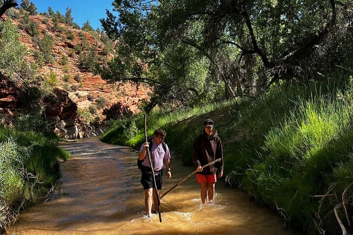 Drive East Zion's Hidden Treasures: 4-Hour UTV Tour photo 3