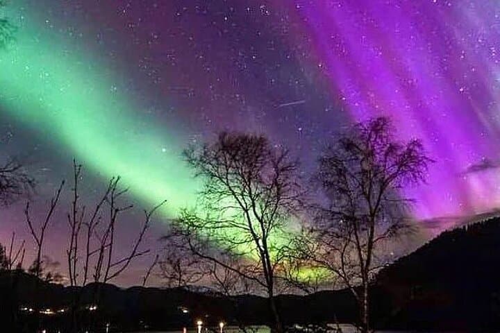 Private Northern Lights Tour from Reykjavik — 3‑Hour Aurora Hunt photo 3