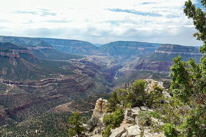 Explore the North Rim: Full-Day UTV Adventure to Grand Canyon Overlooks photo 3