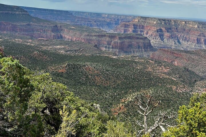 Explore the North Rim: Full-Day UTV Adventure to Grand Canyon Overlooks photo 2