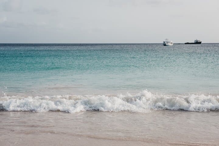 Turtle and Shipwreck Snorkel: Private Carlisle Bay Cruise in Barbados photo 6