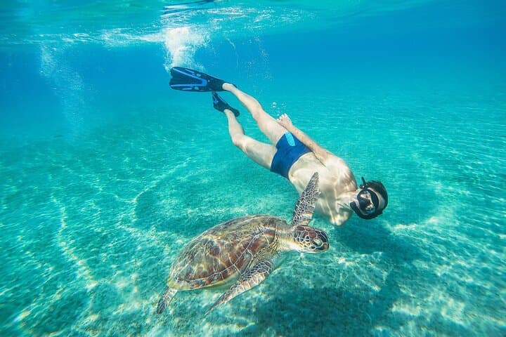 Turtle and Shipwreck Snorkel: Private Carlisle Bay Cruise in Barbados photo 5