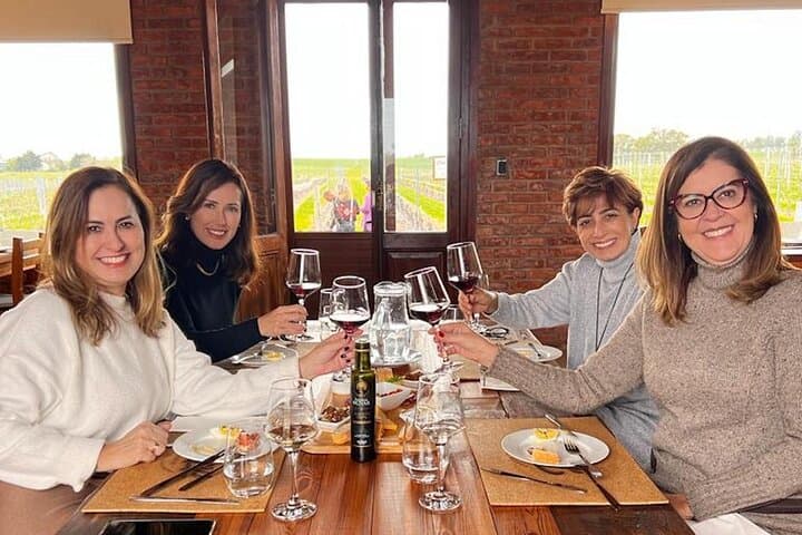 Colonia Wine Experience: Tasting Tannat and Boutique Wineries Near Colonia del Sacramento