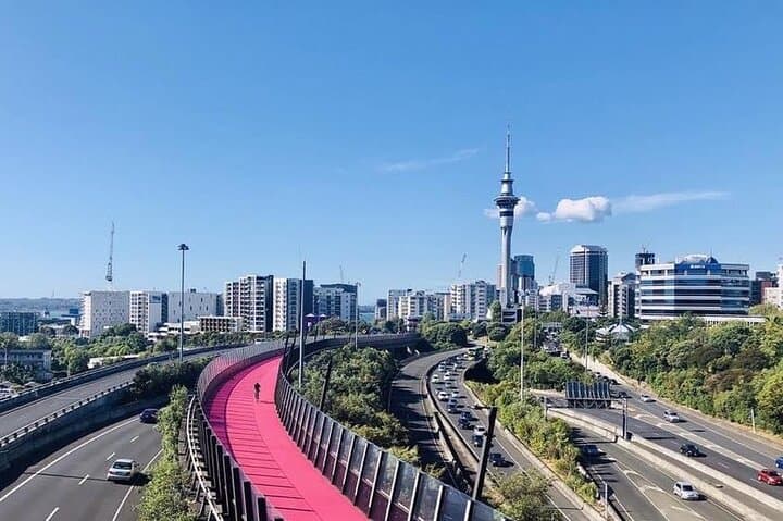 Private 4-Day Driver Hire from Auckland to Rotorua and Central North Island photo 4