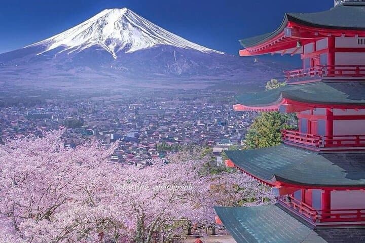 Hakone Private Day Tour from Tokyo: Lake Ashi, Owakudani & Mt. Fuji Views