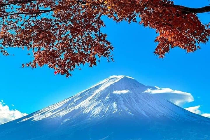 Hakone Private Day Tour from Tokyo: Lake Ashi, Owakudani & Mt. Fuji Views photo 2