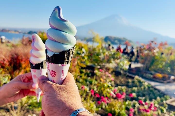 Hakone Private Day Tour from Tokyo: Lake Ashi, Owakudani & Mt. Fuji Views photo 3