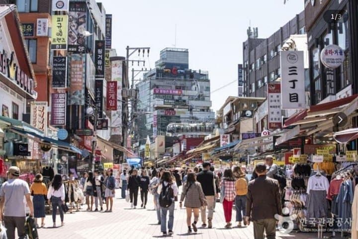 Seoul Panorama Tour: Gyeongbokgung, N Seoul Tower & Han River Views photo 3