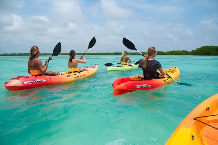 Purple Island Mangroves Kayaking: Private Day Trip from Doha