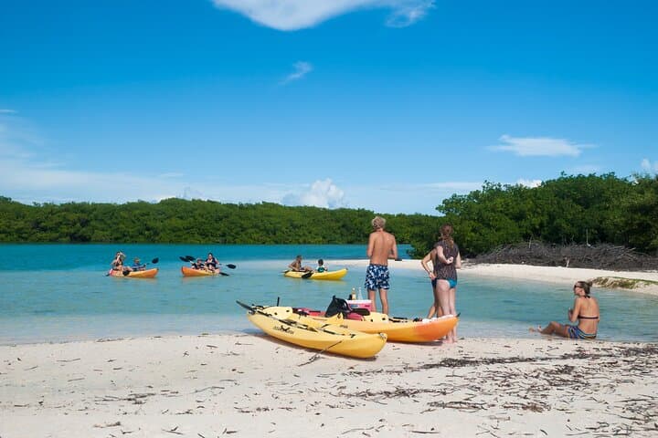 Purple Island Mangroves Kayaking: Private Day Trip from Doha photo 2