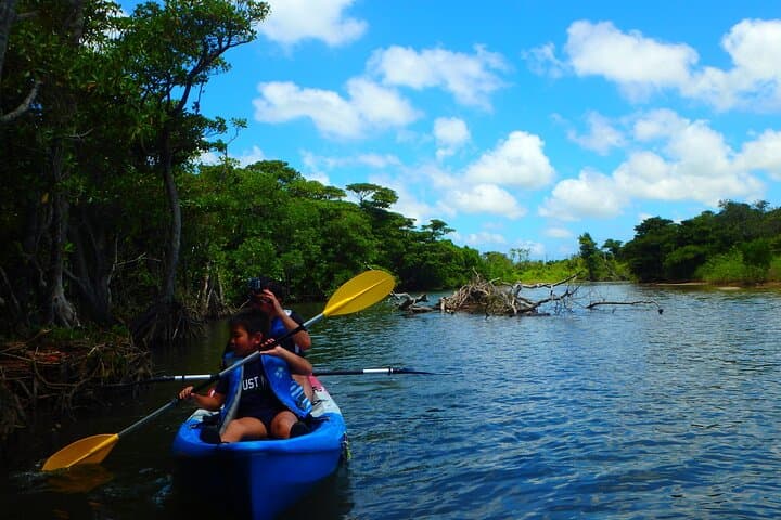 Purple Island Mangroves Kayaking: Private Day Trip from Doha photo 6