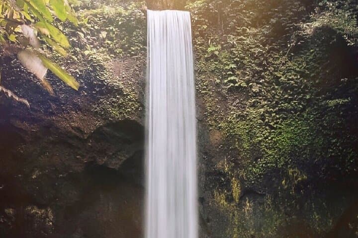 Ubud Waterfalls, Tegalalang Rice Terraces & Jungle Swing — Private Day Tour from Ubud photo 2