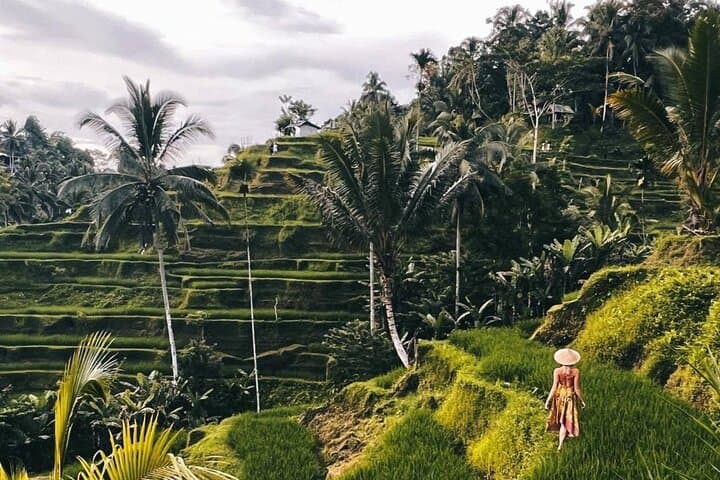 Ubud Waterfalls, Tegalalang Rice Terraces & Jungle Swing — Private Day Tour from Ubud photo 4