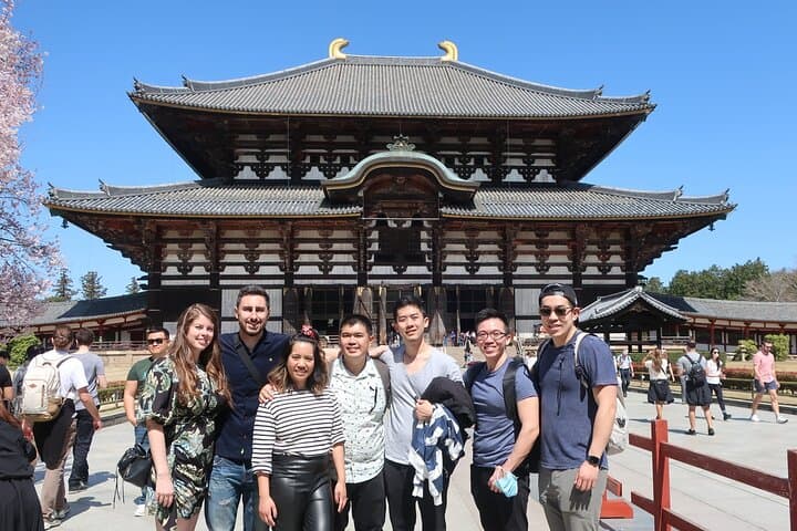 Half-Day Private Nara Tour with Licensed Guide: Todaiji, Kasuga & Deer Park